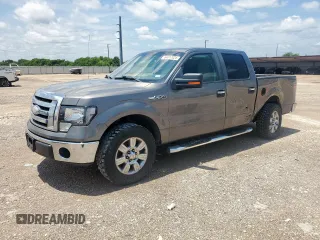 2009 Ford F-150 XL z VIN 1FTRW12889FA17895, wystawiony jako Copart lot #64017025 z przebiegiem 167 808 mil mil oraz Szkoda całkowita • Salvage title. Historia ofert i sprzedaży dostępna na DreamBid. Obrazek 1.