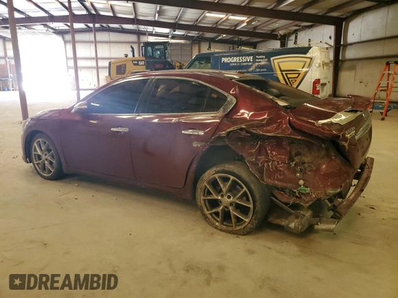 2011 Nissan Maxima SV with VIN 1N4AA5AP5BC851017, listed as a Copart auction lot 49767035 with 234,039 mi miles and Salvage title. Bid and sale history available at DreamBid. Image 2.