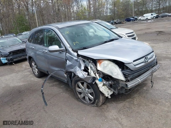 2008 Honda CR-V EX-L with VIN JHLRE38738C049993, listed as a IAAI auction lot 42033504 with 252,190 mi miles. Bid and sale history available at carsss.com. Image 1.