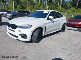 2019 BMW X6 M with VIN 5YMKW8C50K0Y75148, listed as a IAAI auction lot 41244301 with NaN miles. Bid and sale history available at carsss.com. Image 17.
