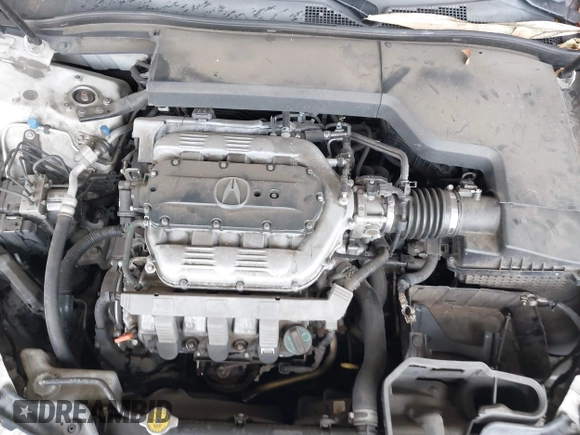 2009 Acura TL Tech with VIN 19UUA86509A008303, listed as a IAAI auction lot 41076598 with 253,434 mi miles. Bid and sale history available at carsss.com. Image 10.