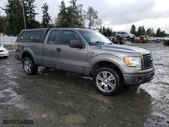 2014 Ford F-150 XL with VIN 1FTEX1CM5EKF19742, listed as a Copart auction lot 47705005 with 222,110 mi miles and Salvage Title. Bid and sale history available at carsss.com. Image 4.
