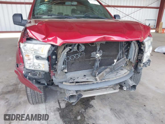 2015 Ford F-150 XL with VIN 1FTEX1CP1FFC30569, listed as a IAAI auction lot 41836652 with 126,443 mi miles. Bid and sale history available at carsss.com. Image 6.