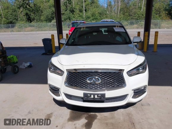 2020 Infiniti QX60 Luxe with VIN 5N1DL0MM4LC507648, listed as a IAAI auction lot 42640168 with 52,981 mi miles and . Bid and sale history available at DreamBid. Image 12.