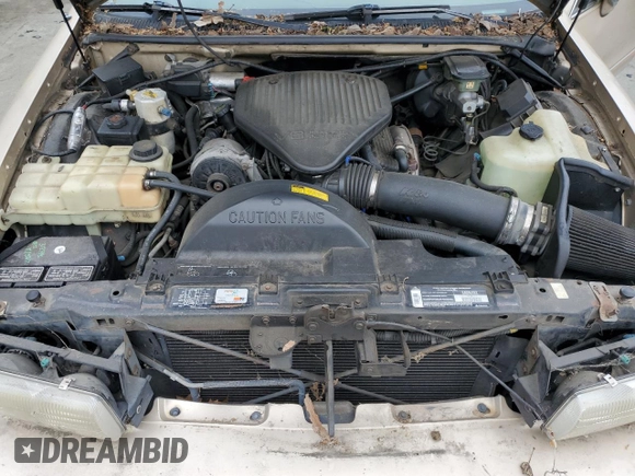 1994 Chevrolet Caprice LS with VIN 1G1BN52PXRR139619, listed as a Copart auction lot 55675345 with Not Provided miles and Clean Title. Bid and sale history available at DreamBid. Image 11.
