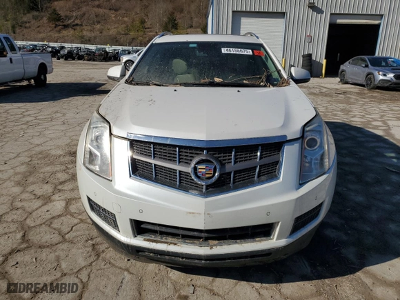 2011 Cadillac SRX Luxury Collection with VIN 3GYFNAEY4BS585171, listed as a Copart auction lot 46188075 with 0 mi miles and Salvage Title. Bid and sale history available at carsss.com. Image 5.