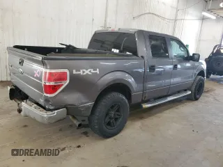 2010 Ford F-150 XL with VIN 1FTFW1EV5AKE16361, listed as a Copart auction lot 49160425 with 125,483 mi miles and Non Repairable. Bid and sale history available at carsss.com. Image 3.