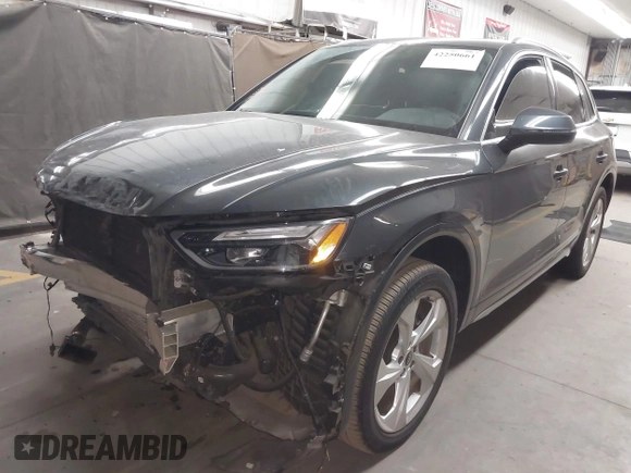 2021 Audi Q5 Premium Plus z VIN WA1BAAFY6M2130300, wystawiony jako IAAI lot #42250661 z przebiegiem 49 147 mil mil oraz . Historia ofert i sprzedaży dostępna na DreamBid. Obrazek 2.