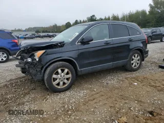 2007 Honda CR-V EX with VIN JHLRE38537C035198, listed as a Copart auction lot 80092344 with 181,254 mi miles and Clean Title. Bid and sale history available at carsss.com. Image 1.