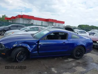 2013 Ford Mustang V6 with VIN 1ZVBP8AM7D5228491, listed as a IAAI auction lot 42209129 with 146,461 mi miles and . Bid and sale history available at DreamBid. Image 14.