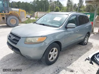 2007 Hyundai Santa Fe GLS with VIN 5NMSG13D67H006131, listed as a IAAI auction lot 41953084 with 239,519 mi miles. Bid and sale history available at carsss.com. Image 2.