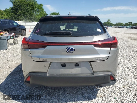 2022 Lexus UX 250h with VIN JTHP9JBH8N2060065, listed as a Copart auction lot 58173725 with 50,990 mi miles and Salvage title. Bid and sale history available at DreamBid. Image 6.