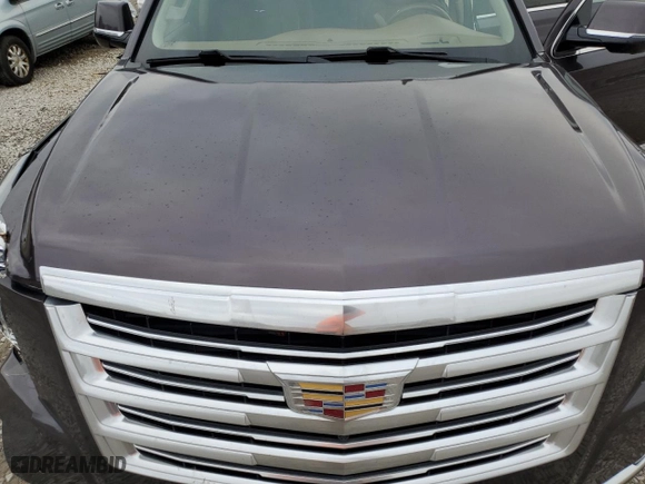2015 Cadillac Escalade Platinum with VIN 1GYS4PKJ3FR743570, listed as a Copart auction lot 80519184 with 131,932 mi miles and Salvage Title. Bid and sale history available at carsss.com. Image 13.