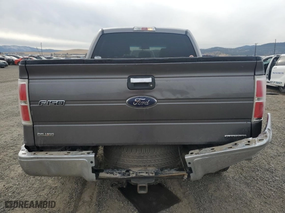 2013 Ford F-150 XL with VIN 1FTFW1CF1DFB41368, listed as a Copart auction lot 80332584 with 203,824 mi miles and Salvage Title. Bid and sale history available at carsss.com. Image 6.