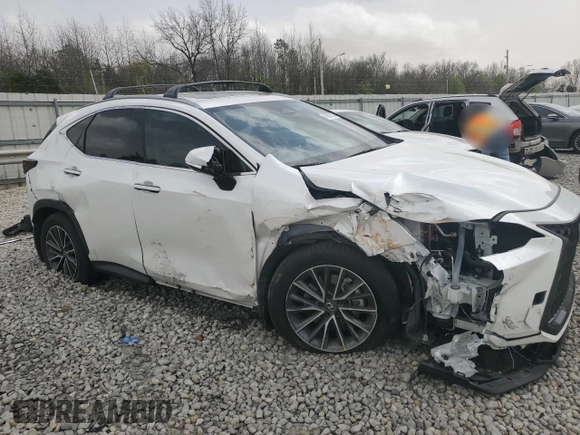2024 Lexus NX with VIN JTJGKCEZ8R2034364, listed as a Copart auction lot 49850105 with 0 mi miles and Salvage Title. Bid and sale history available at carsss.com. Image 1.