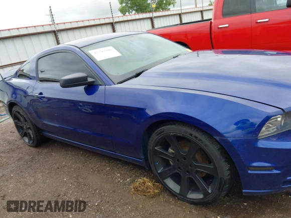 2014 Ford Mustang V6 с VIN 1ZVBP8AM2E5321551, выставлен на аукционе IAAI как лот 42343986 с пробегом 81 762 миль миль и . История ставок и продаж доступна на DreamBid. Изображение 14.