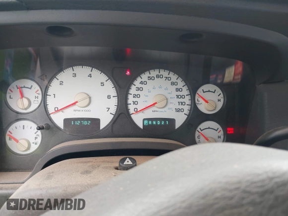 2002 Dodge 1500 z VIN 1D7HA16N62J201753, wystawiony jako IAAI lot #42400336 z przebiegiem 112 782 mil mil oraz . Historia ofert i sprzedaży dostępna na DreamBid. Obrazek 7.
