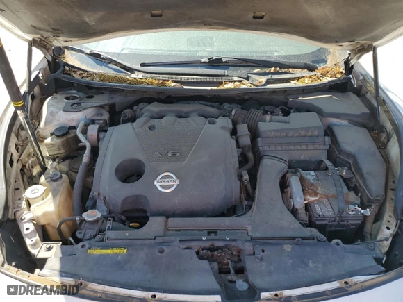 2009 Nissan Maxima 3.5 SV with VIN 1N4AA51E99C803271, listed as a Copart auction lot 53351425 with 192,256 mi miles and Clean Title. Bid and sale history available at carsss.com. Image 11.