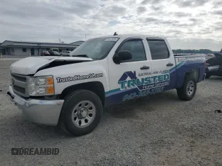 2013 Chevrolet Silverado 1500 LT with VIN 3GCPCSEA9DG359769, listed as a Copart auction lot 53912875 with 165,484 mi miles and Salvage Title. Bid and sale history available at DreamBid. Image 1.