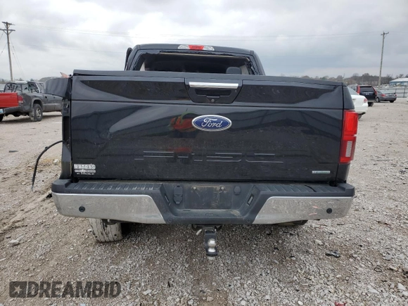 2019 Ford F-150 XL with VIN 1FTEW1E43KFC82737, listed as a Copart auction lot 80431014 with 0 mi miles and Non Repairable. Bid and sale history available at carsss.com. Image 6.