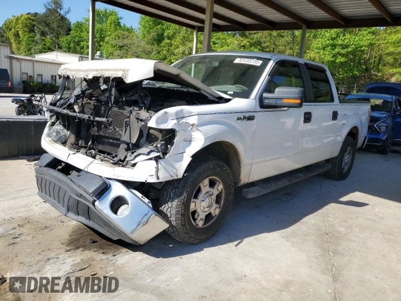 2010 Ford F-150 XL with VIN 1FTEW1C80AFA70138, listed as a Copart auction lot 53135735 with 209,803 mi miles and Salvage Title. Bid and sale history available at carsss.com. Image 1.