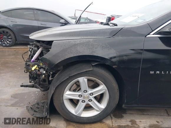 2019 Chevrolet Malibu LS with VIN 1G1ZB5ST1KF179471, listed as a IAAI auction lot 41945879 with 141,498 mi miles and . Bid and sale history available at DreamBid. Image 19.