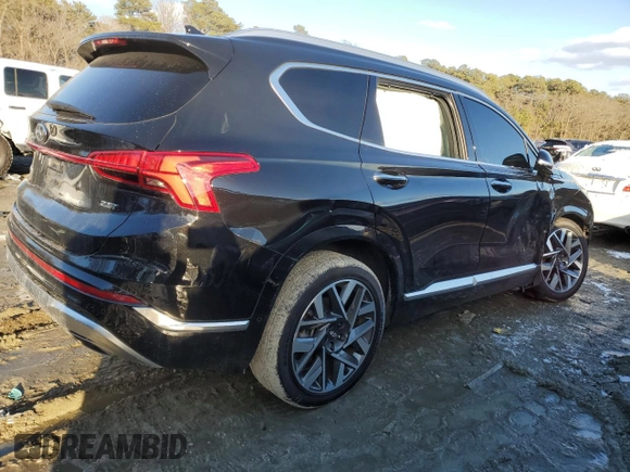 2023 Hyundai Santa Fe Calligraphy with VIN 5NMS54AL8PH490482, listed as a Copart auction lot 41742925 with 38,467 mi miles and Salvage title. Bid and sale history available at DreamBid. Image 3.