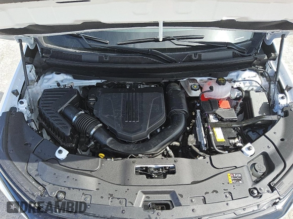 2024 Chevrolet Traverse FWD LS with VIN 1GNEREKSXRJ244535, listed as a Copart auction lot 61941725 with 317 mi miles and Clean title. Bid and sale history available at DreamBid. Image 12.
