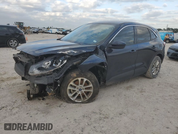 2021 Ford Escape SE с VIN 1FMCU0G69MUA99066, выставлен на аукционе Copart как лот 44684655 с пробегом 95 376 миль миль и Списание • Salvage title. История ставок и продаж доступна на DreamBid. Изображение 1.