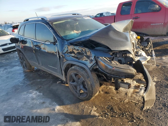 2020 Jeep Cherokee Limited with VIN 1C4PJLDB0LD565001, listed as a Copart auction lot 88209415 with 0 mi miles and Salvage Title. Bid and sale history available at carsss.com. Image 4.