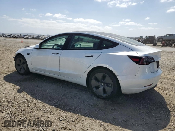 2021 Tesla Model 3 Standard Range Plus with VIN 5YJ3E1EA1MF871986, listed as a Copart auction lot 53389475 with Not Provided miles and Salvage Title. Bid and sale history available at DreamBid. Image 2.
