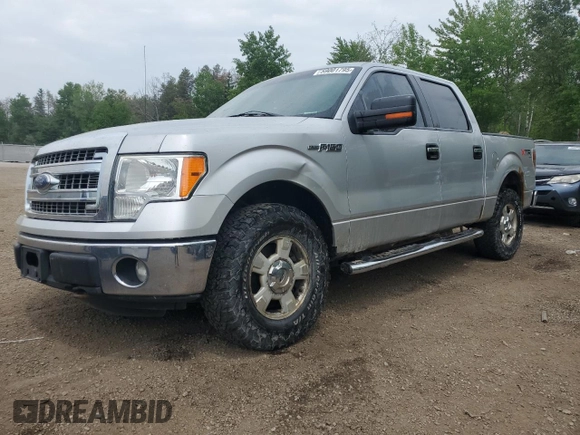 2013 Ford F-150 XL with VIN 1FTFW1EF7DKE73822, listed as a Copart auction lot 59001795 with 358,444 mi miles and Clean title. Bid and sale history available at DreamBid. Image 1.