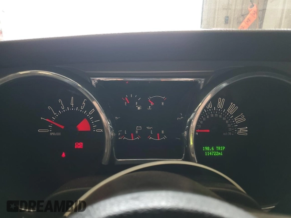 2008 Ford Mustang GT Deluxe with VIN 1ZVHT85H385156830, listed as a Copart auction lot 57519415 with 114,722 mi miles and Clean title. Bid and sale history available at DreamBid. Image 9.
