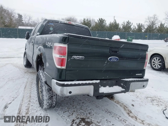 2013 Ford F-150 with VIN 1FTVW1EF4DKE07465, listed as a IAAI auction lot 41601235 with 131,721 mi miles and . Bid and sale history available at DreamBid. Image 3.