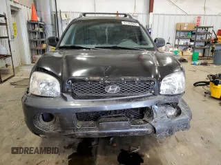 2003 Hyundai Santa Fe GLS with VIN KM8SC13D83U566100, listed as a Copart auction lot 47193955 with 166,060 mi miles and Non Repairable. Bid and sale history available at carsss.com. Image 5.