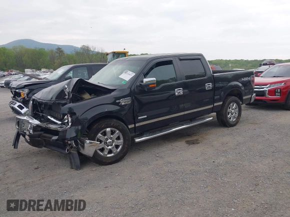 2013 Ford F-150 XL z VIN 1FTFW1ET9DKG38355, wystawiony jako IAAI lot #42116823 z przebiegiem 178 653 mil mil oraz . Historia ofert i sprzedaży dostępna na DreamBid. Obrazek 18.