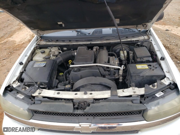 2005 Chevrolet TrailBlazer LS with VIN 1GNES16S656141472, listed as a Copart auction lot 44624865 with 216,234 mi miles and Clean Title. Bid and sale history available at carsss.com. Image 12.