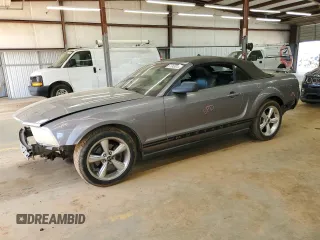 2006 Ford Mustang Standard with VIN 1ZVHT84N165144471, listed as a Copart auction lot 51743815 with 196,243 mi miles and Salvage Title. Bid and sale history available at carsss.com. Image 1.