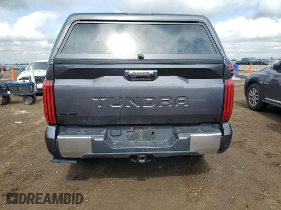 2023 Toyota Tundra Limited with VIN 5TFJA5DB8PX083947, listed as a Copart auction lot 59283695 with 19,089 mi miles and Salvage title. Bid and sale history available at DreamBid. Image 6.