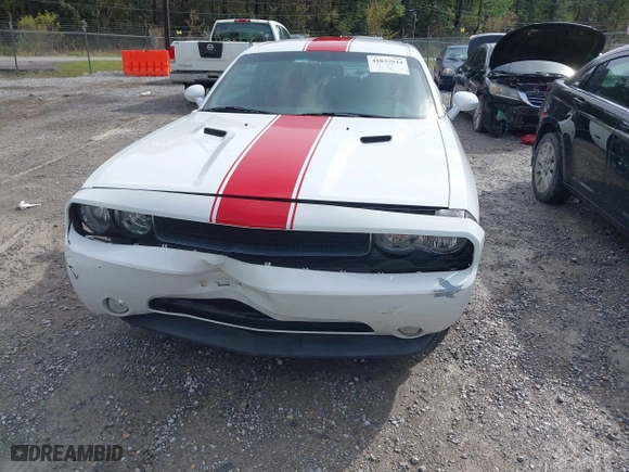 2013 Dodge Challenger SXT with VIN 2C3CDYAG9DH734248, listed as a IAAI auction lot 41837944 with 113,142 mi miles. Bid and sale history available at carsss.com. Image 6.