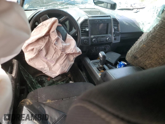 2019 Ford F-150 XL with VIN 1FTEW1E59KFD49799, listed as a Copart auction lot 56962405 with Not provided miles and Salvage title. Bid and sale history available at DreamBid. Image 8.