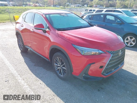 2024 Lexus NX with VIN 2T2GKCEZ1RC027918, listed as a IAAI auction lot 41955635 with 24,434 mi miles. Bid and sale history available at carsss.com. Image 1.