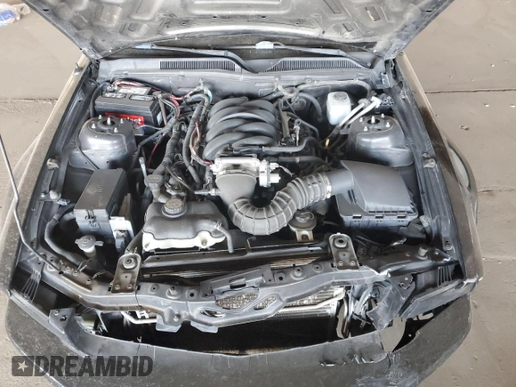 2007 Ford Mustang GT Deluxe with VIN 1ZVHT82H975223952, listed as a Copart auction lot 64523895 with 213,500 mi miles and Clean title. Bid and sale history available at DreamBid. Image 11.