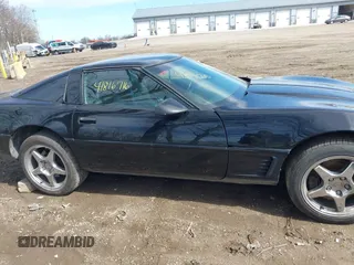 1995 Chevrolet Corvette z VIN 1G1YY22P1S5118252, wystawiony jako IAAI lot #41816716 z przebiegiem 143 210 mil mil oraz . Historia ofert i sprzedaży dostępna na DreamBid. Obrazek 13.