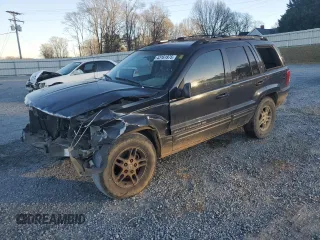 1999 Jeep Grand Cherokee Limited with VIN 1J4G268S1XC701098, listed as a Copart auction lot 43161975 with Not provided miles and Salvage title. Bid and sale history available at DreamBid. Image 1.