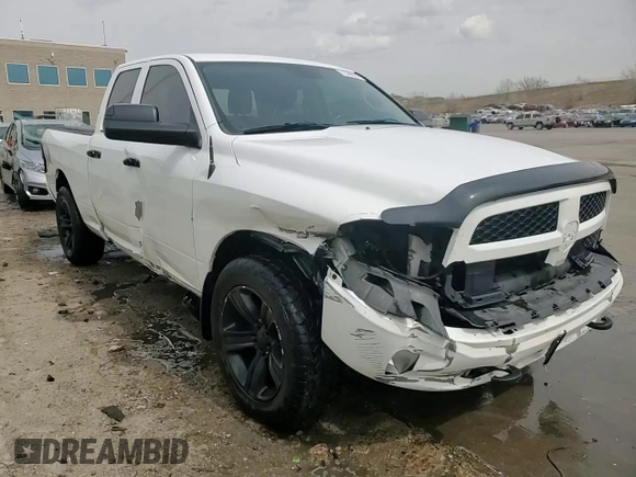 2014 Ram 1500 Big Horn with VIN 1C6RR7GT9ES296628, listed as a Copart auction lot 51366935 with 117,769 mi miles and Salvage title. Bid and sale history available at DreamBid. Image 13.
