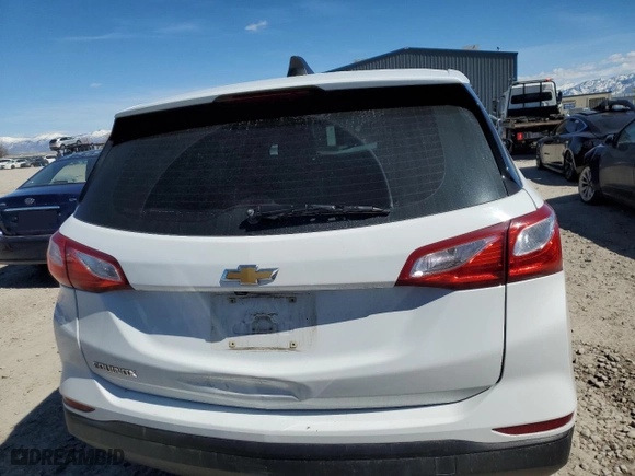 2019 Chevrolet Equinox LS with VIN 3GNAXHEVXKS626192, listed as a Copart auction lot 50269295 with 123,162 mi miles and Salvage Title. Bid and sale history available at carsss.com. Image 6.