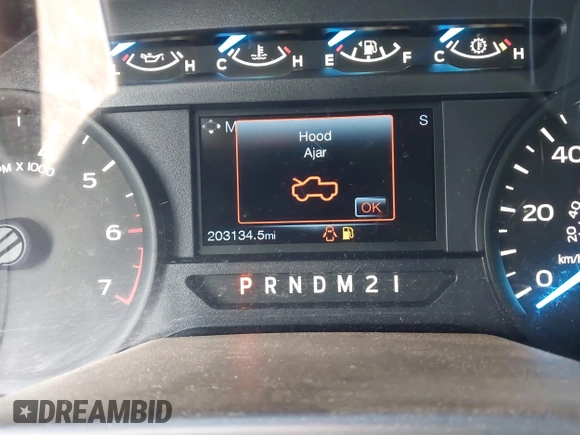 2015 Ford F-150 XL with VIN 1FTEW1CP3FKD56331, listed as a IAAI auction lot 42394322 with 203,134 mi miles and . Bid and sale history available at DreamBid. Image 15.