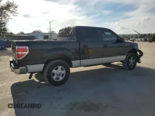 2010 Ford F-150 XL with VIN 1FTFW1CV6AFD01991, listed as a Copart auction lot 42699005 with 151,049 mi miles and Salvage Title. Bid and sale history available at DreamBid. Image 3.
