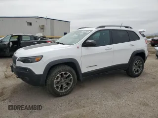 2020 Jeep Cherokee Trailhawk z VIN 1C4PJMBX9LD504136, wystawiony jako Copart lot #58975865 z przebiegiem 79 515 mil mil oraz Szkoda całkowita • Salvage title. Historia ofert i sprzedaży dostępna na DreamBid. Obrazek 1.